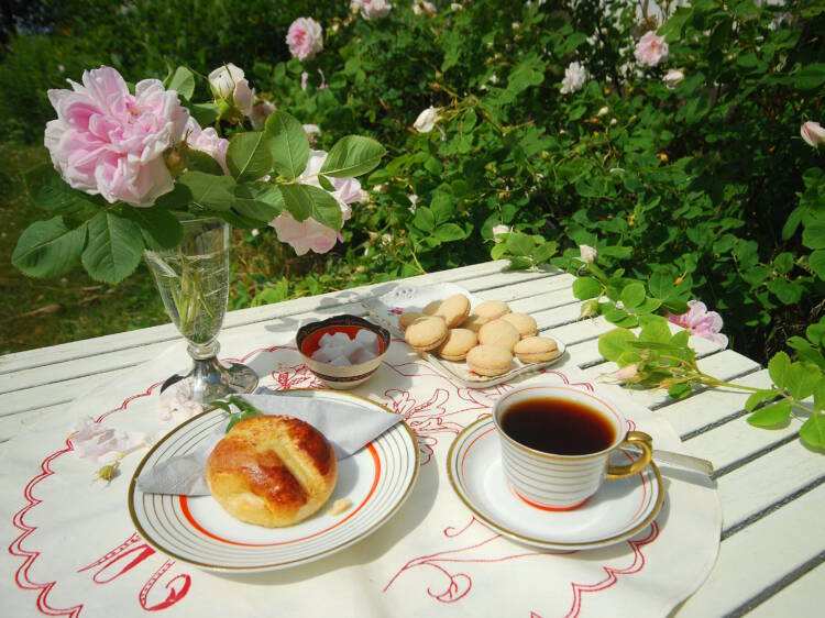 Kahvipöytä puutarhassa. Pöydällä on kahvikuppi, pulla, pikkuleipiä, sokerinpaloja ja maljakko, jossa on ruusuja. Lisäksi pöydän vieressä on ruusupensas.