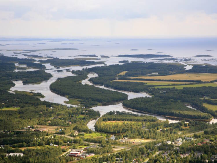 Tornionjoen suistoa.