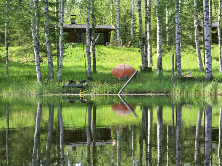Mökkiranta kuvattuna vedestä päin, etualalla heinikkoa ja soutuvene nurin, taustalla mökki.