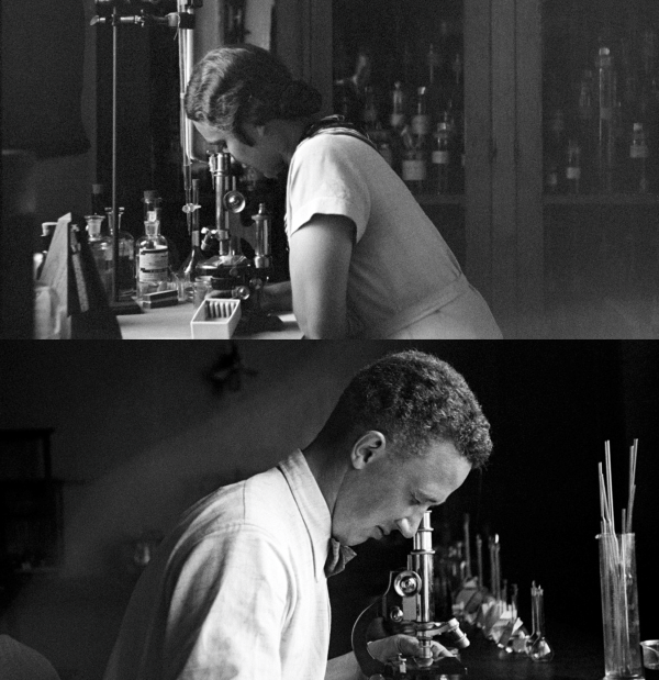 Kaksi mustavalkoista kuvaa, joista ylemmässä nuori nainen käyttää mikroskooppia pöydän ääressä. Hänen takanaan lasiovisessa kaapissa on erilaisia etiketein varustettuja pulloja. Alemmassa kuvassa nuori mies käyttää mikroskooppia ilmeisesti samassa talossa, ellei jopa huoneessa.